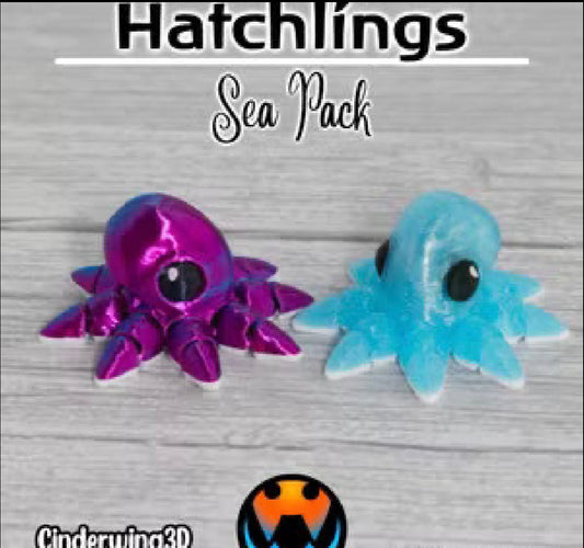 Octopus