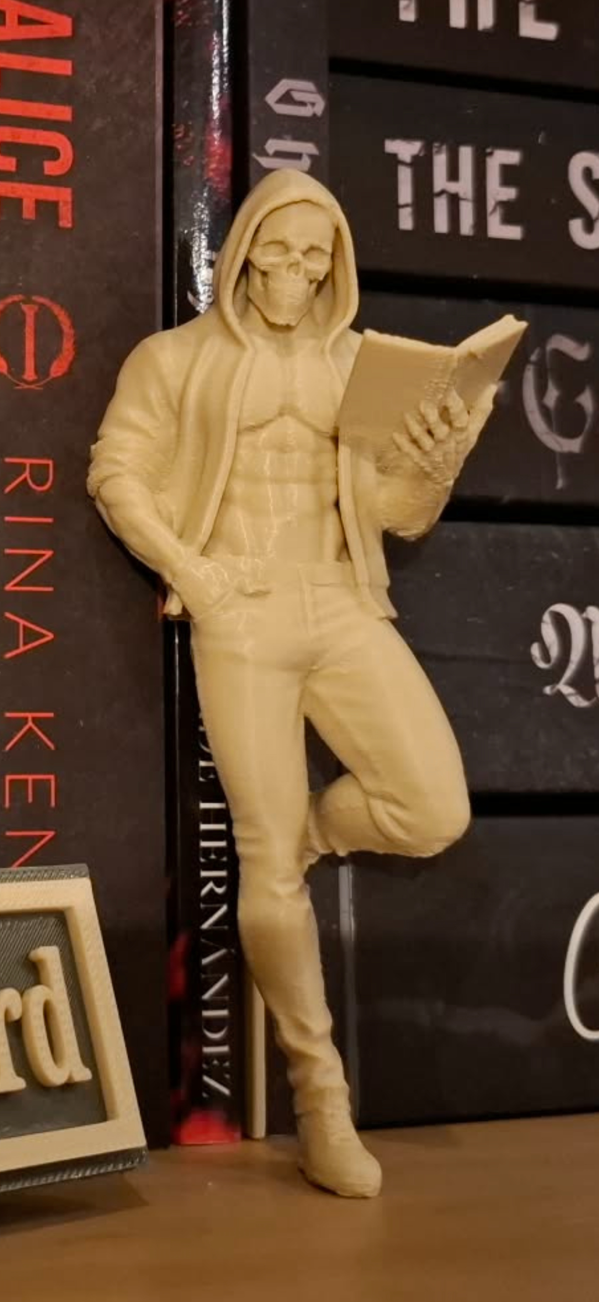 Dark Romance Shelf Sitter