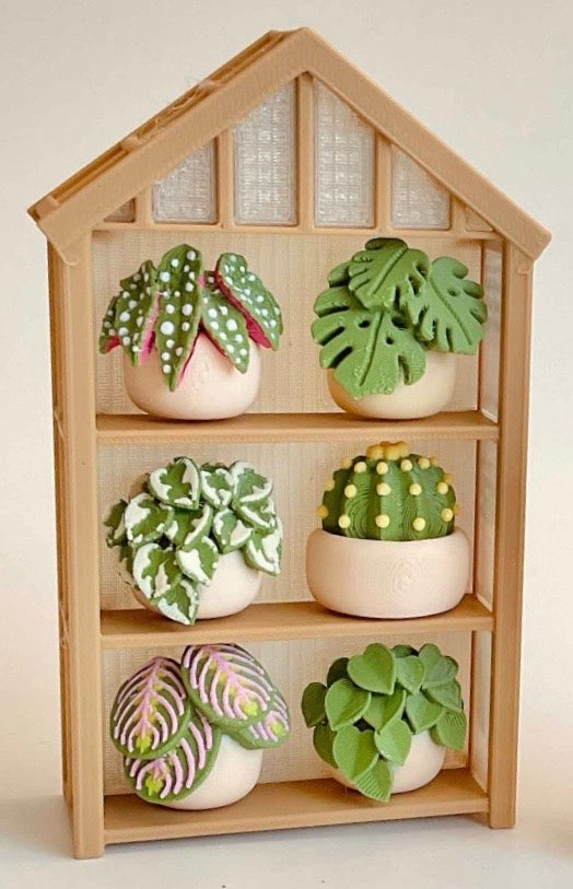 3x2 Green House