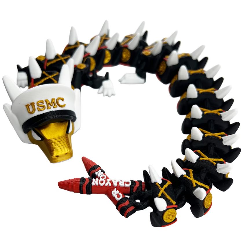 US MarineDragon