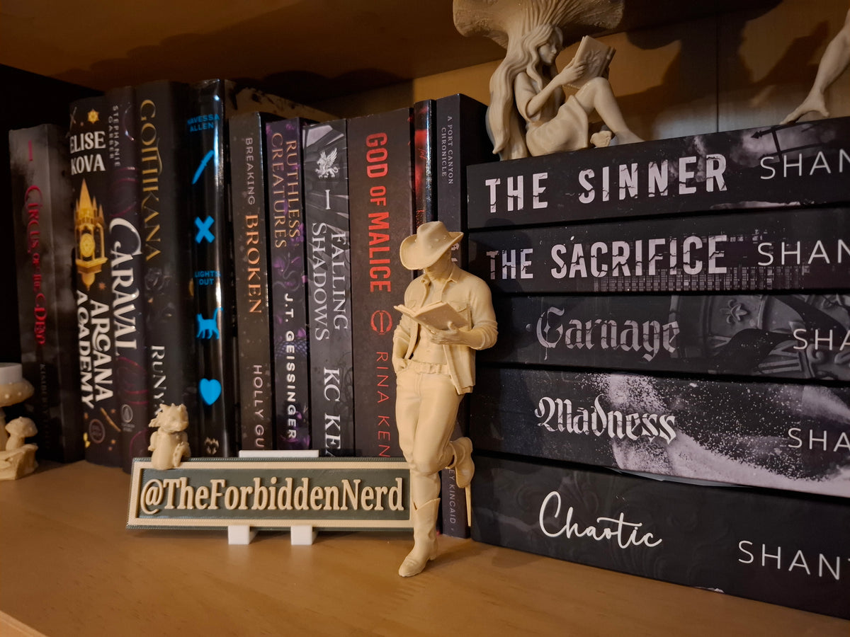 Xaden/Violet Shelf Sitter Set